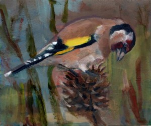 Goldfinch         