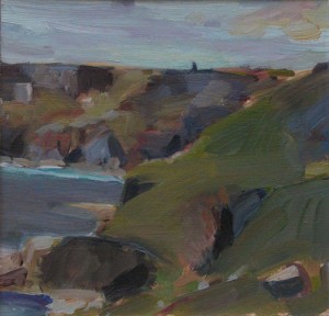 Cliffs near St Just, Cornwall                             